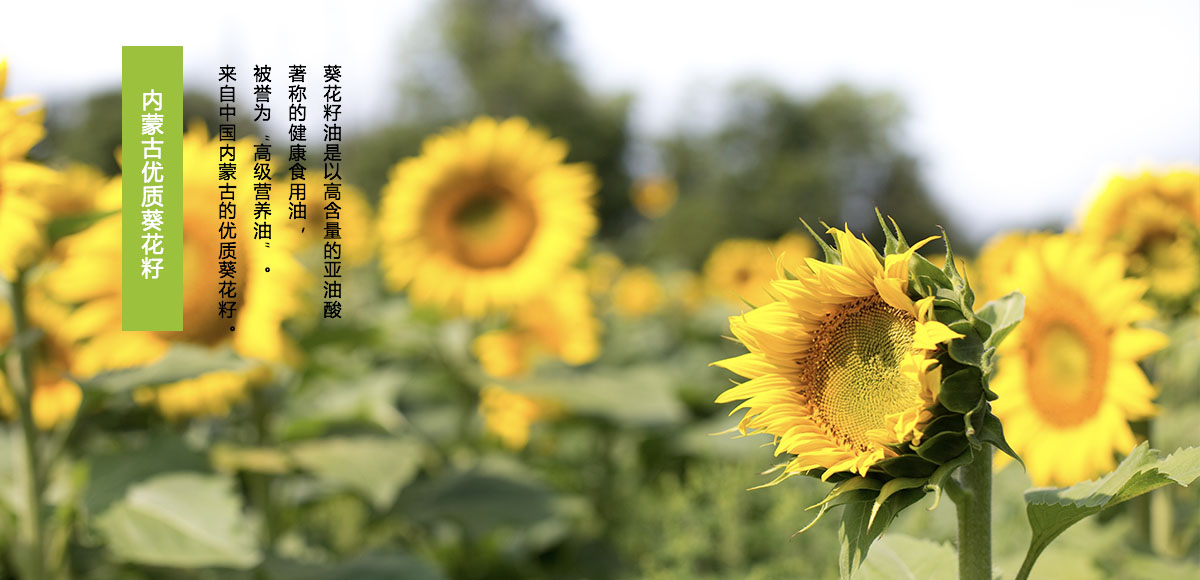 1509012579924453nHIA.jpg 2.jpg