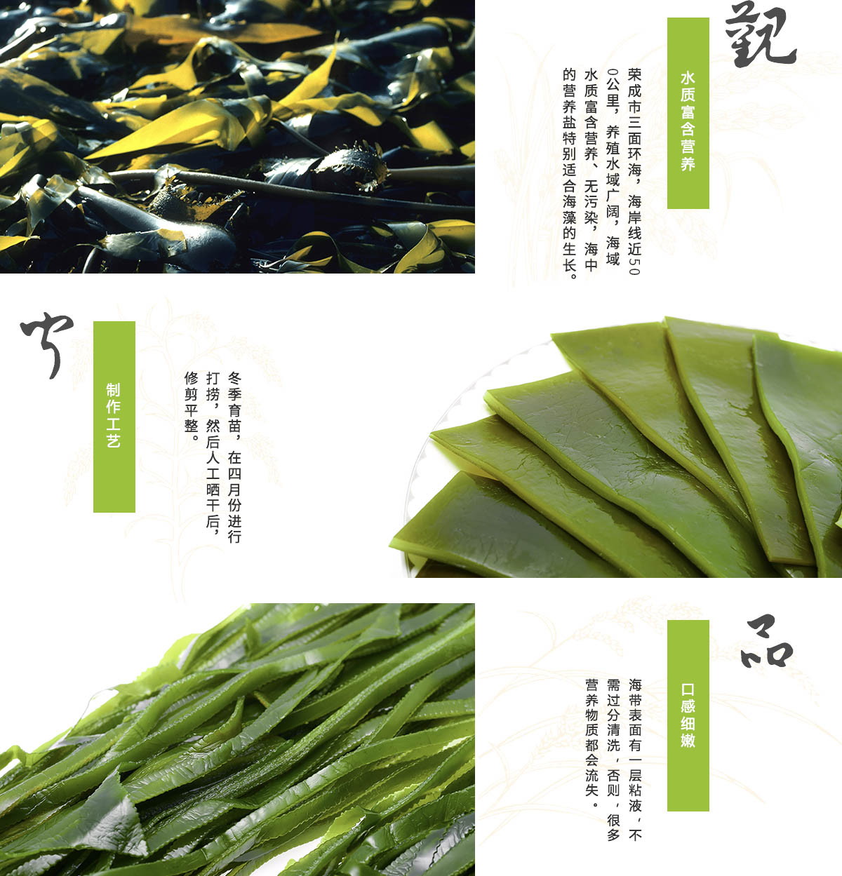 1527751264765255kaI6.jpg 海帶3.jpg