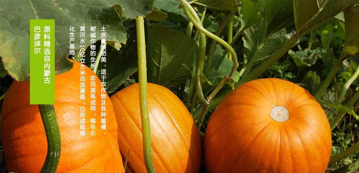 1528342207973254XPLu.jpg 2.jpg