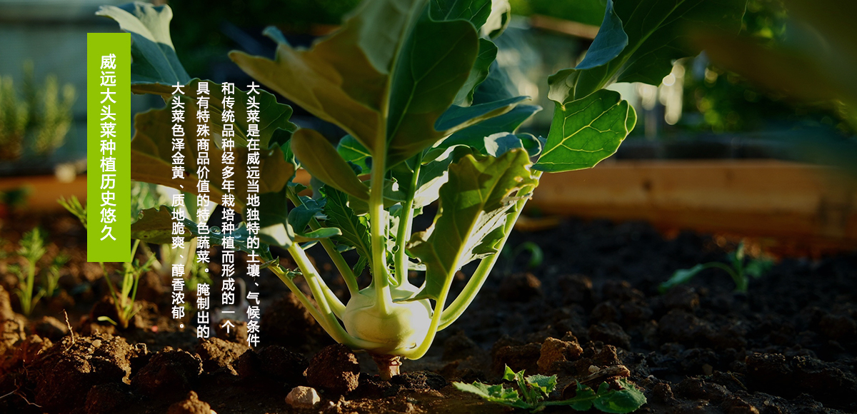 15380186322756615F7A.jpg 2.jpg