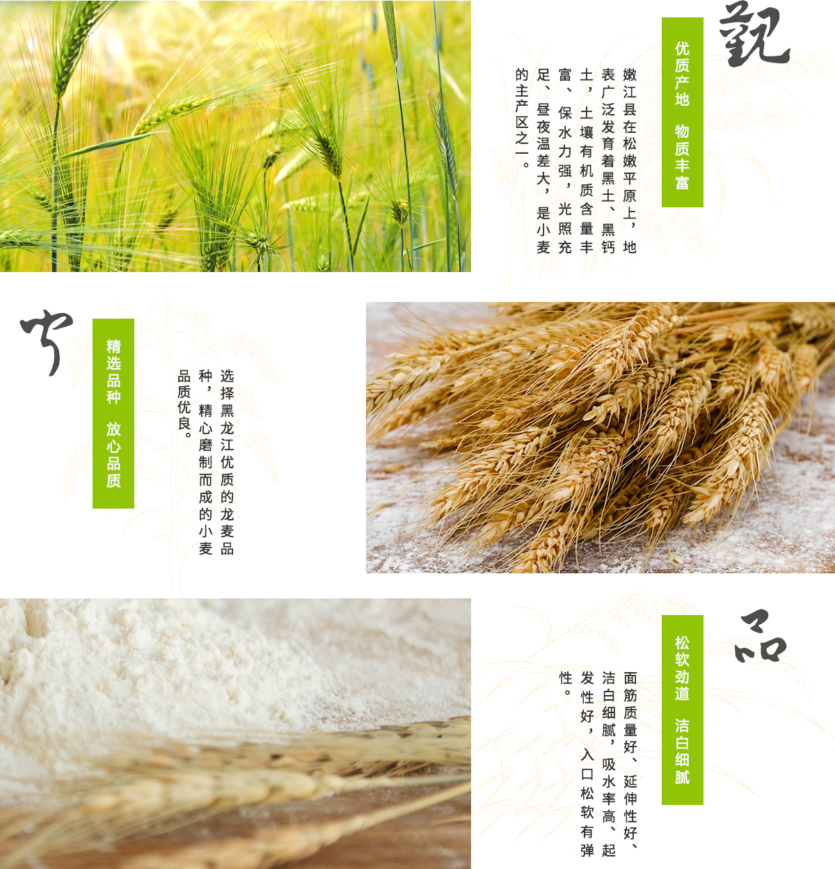 15471017161373663B5D.jpg 面.jpg